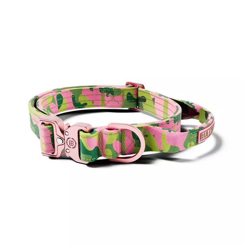 2-5cm-lighter-combat-collar-pink-camouflage 2.5cm Lighter Combat Collar | Pink Camouflage