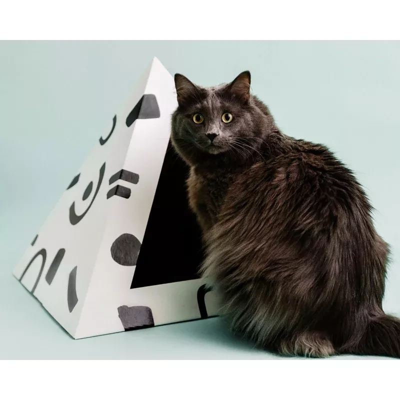 doodle-cardboard-cat-pyramid ‘Doodle’ Cardboard Cat Pyramid