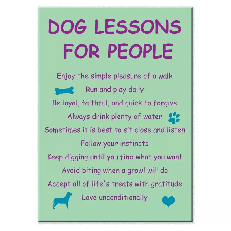 inspirational-pet-lover-magnet-dog-lessons-people Inspirational Pet Lover Magnet – Dog Lessons For People